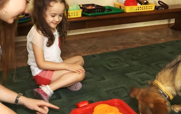 Навчила усміхатися: історія дружби особливої дівчинки з особливою собакою (відео)